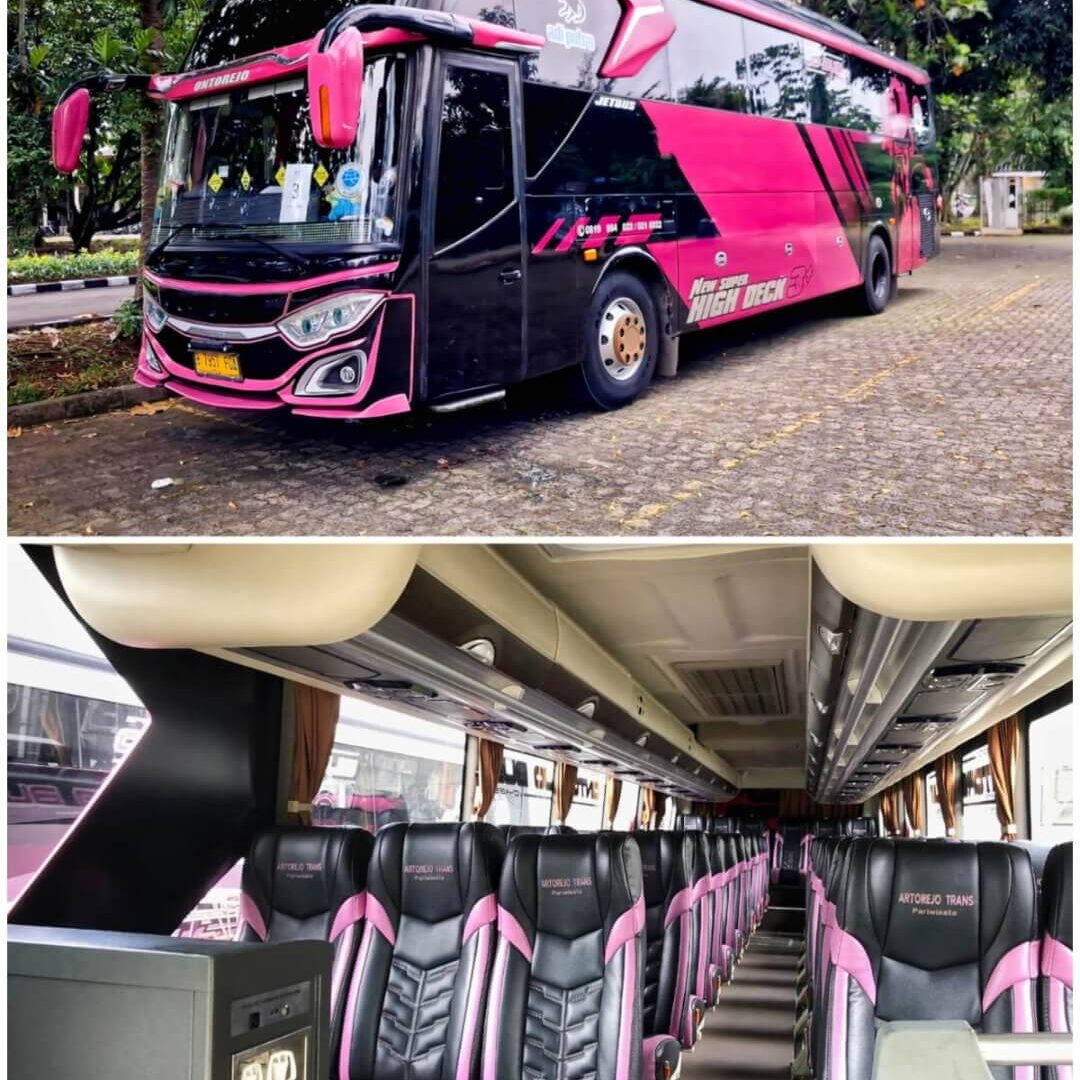 bus 59 seat